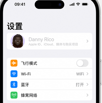 桃山appleID维修服务iPhone设置中Apple ID显示为灰色无法使用