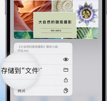 桃山apple维修中心分享iPhone文件应用中存储和找到下载文件