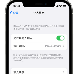 桃山apple服务站点分享iPhone上个人热点丢失了怎么办 