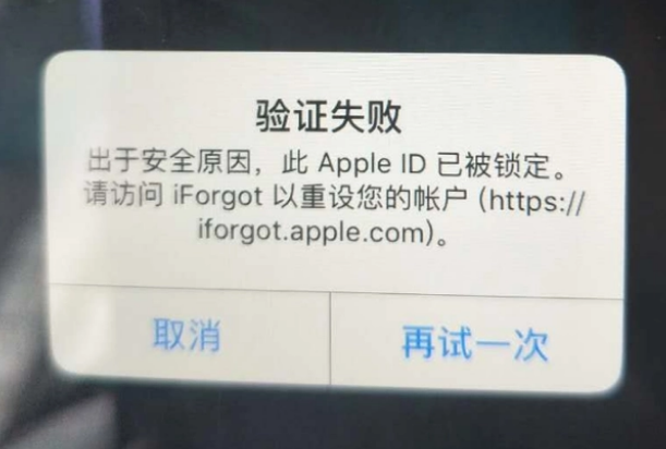 桃山iPhone维修分享iPhone上正常登录或使用AppleID怎么办 