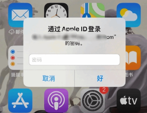 桃山苹果设备维修分享无故多次要求输入AppleID密码怎么办 