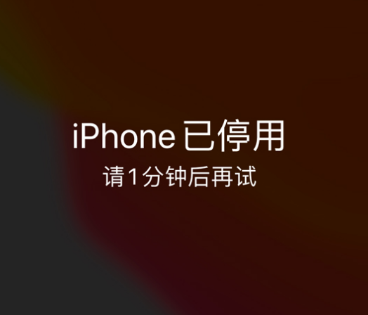 桃山苹果手机维修分享:iPhone 显示“不可用”或“已停用”怎么办？还能保留数据吗？ 