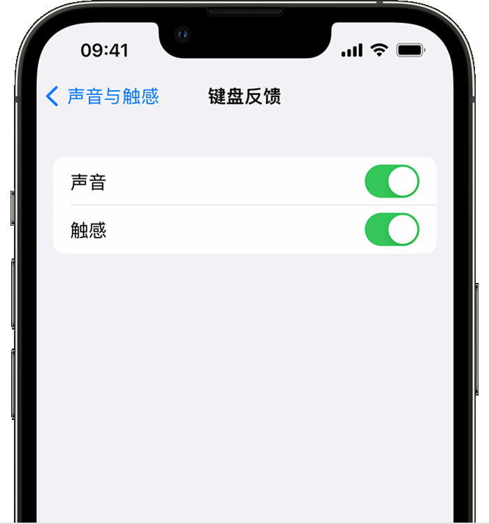 桃山苹果14维修店分享如何在 iPhone 14 机型中使用触感键盘 