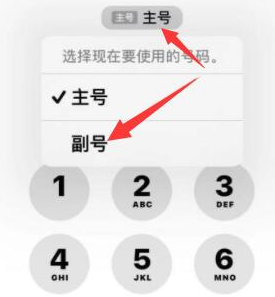 桃山苹果14维修店分享iPhone 14 Pro Max使用副卡打电话的方法 