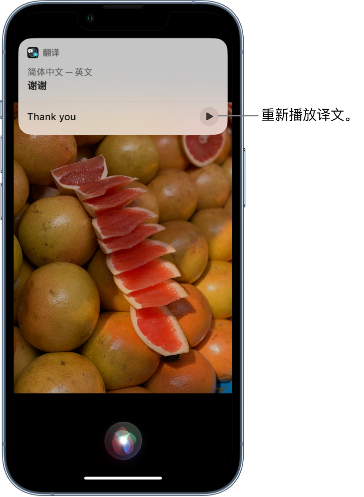 桃山苹果14维修分享 iPhone 14 机型中使用 Siri：了解 Siri 能帮你做什么 