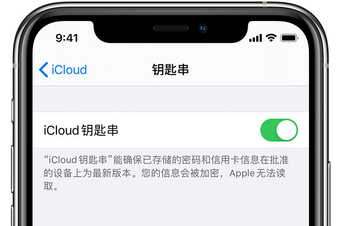 桃山苹果手机维修分享在 iPhone 上开启 iCloud 钥匙串之后会储存哪些信息 