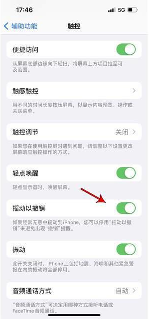 桃山苹果手机维修分享iPhone手机如何设置摇一摇删除文字 