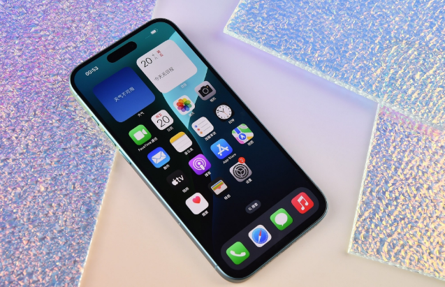 桃山苹果手机维修分享为什么大家不喜欢苹果iPhone 16 Plus 
